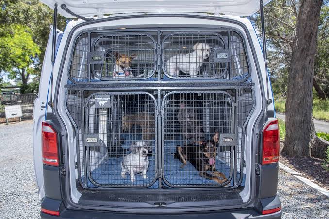 Our pet transport fleet